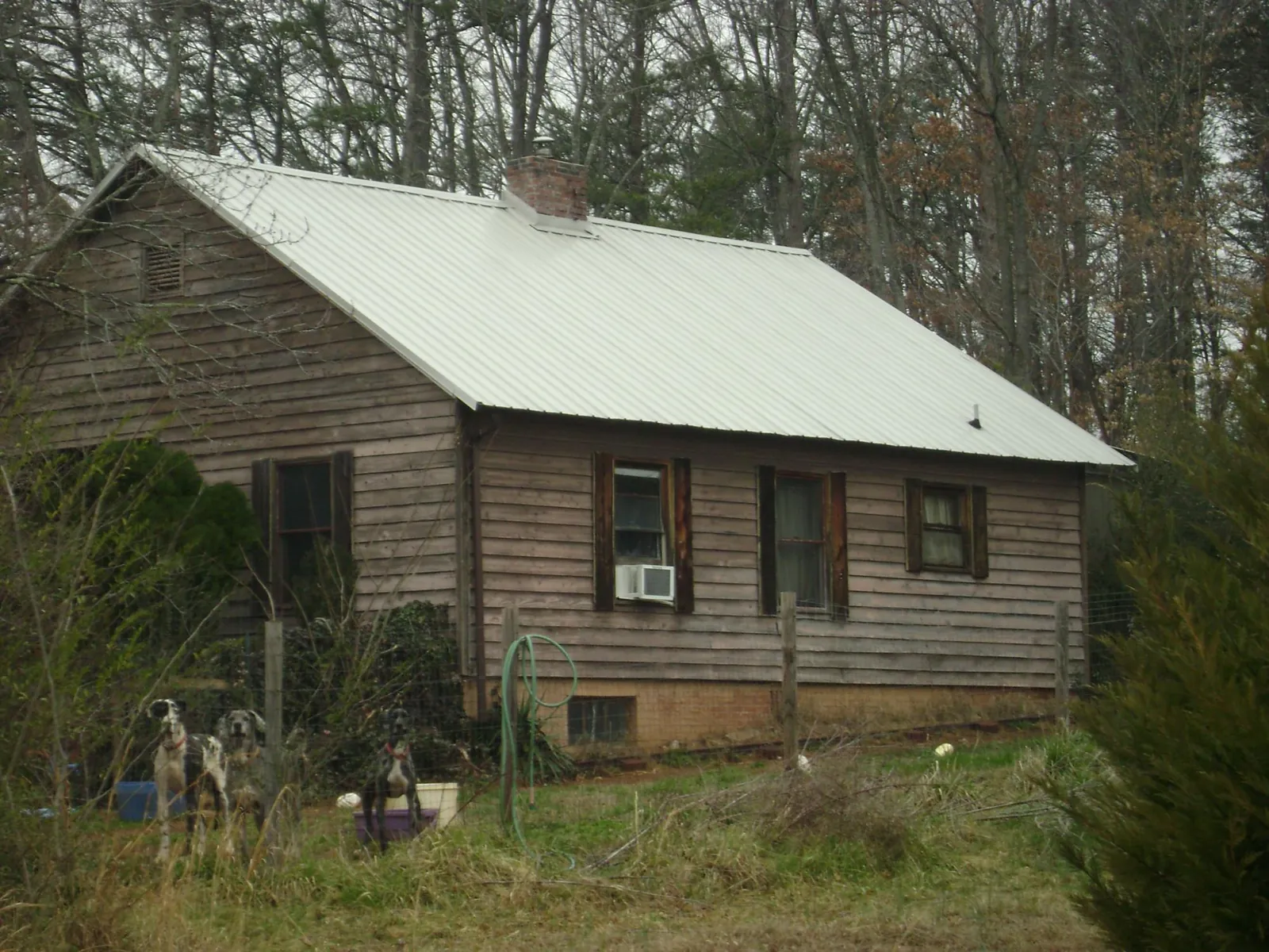 White metal roof on an old wood sided farmhouse, from a Asphalt Shingle Roof Repair job in Lone Tree
